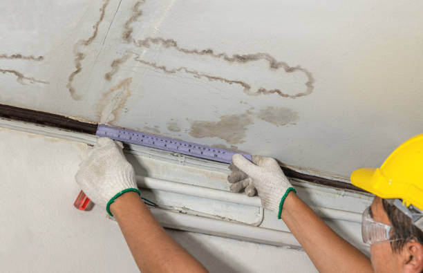Reliable Flood Cleanup contractor in Rothbury, MI by Water Damage Irwin